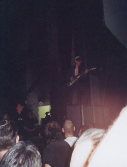 Fleshtones